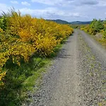 シャレー Hochwald