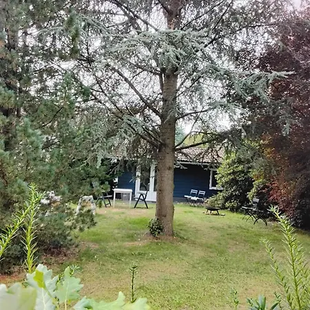 Hochwald Bad Sachsa