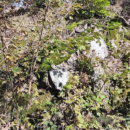 Hochwald Bad Sachsa
