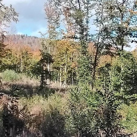 Hochwald Domek alpejski Bad Sachsa