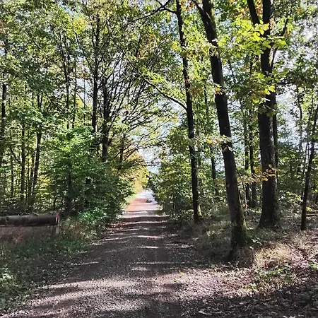 Hochwald Bad Sachsa