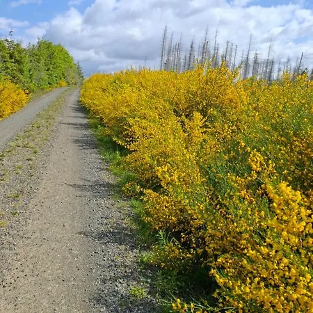 Hochwald *