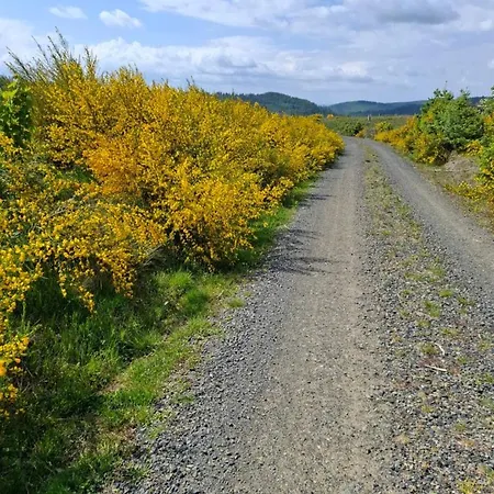 Domek alpejski Hochwald