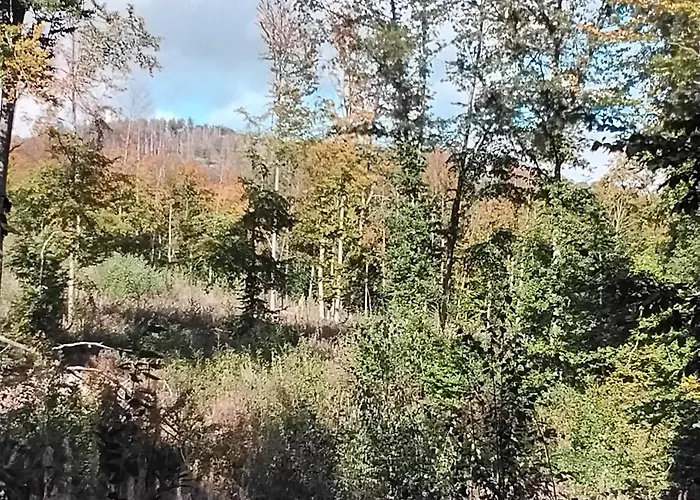 Hochwald Chalet Bad Sachsa